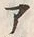 「ツ」字