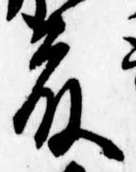 已定位藤