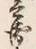 文字 兵