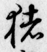 已定位猪