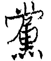 Đã định vị 党
