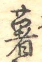 已定位薯