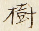 「樹」字