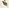 「い」字