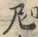 Đã định vị 尼