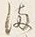 Character 時